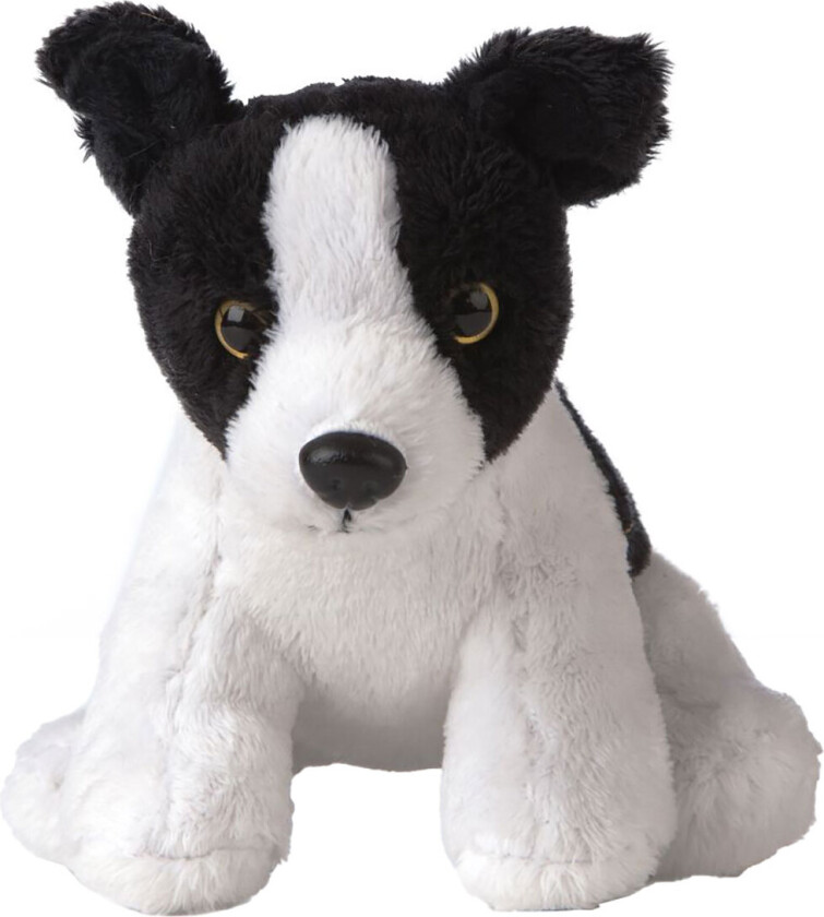 Kosedyr - 15x12 cm - Smols - Border Collie - Svart - - OneSize - Kosedyr