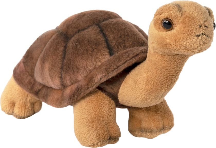 Kosedyr - 20x13 cm - Skilpadde - Brun - - OneSize - Kosedyr