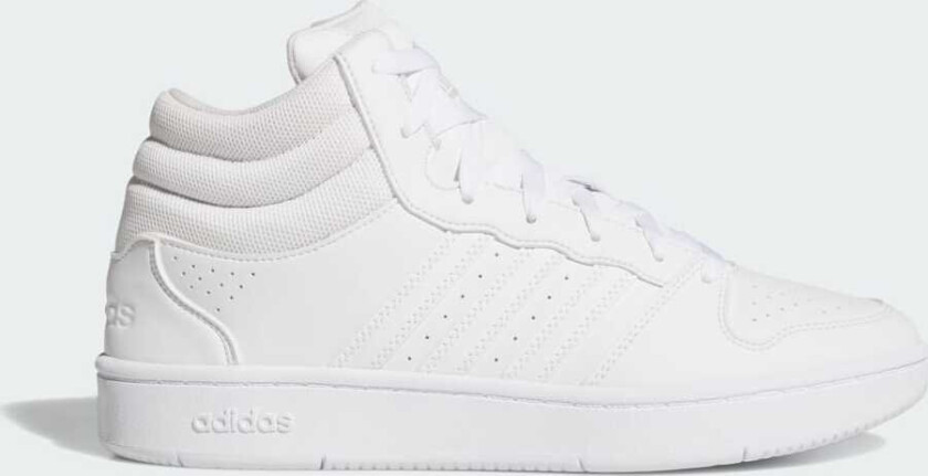 HOOPS MID CLASSIC SKO