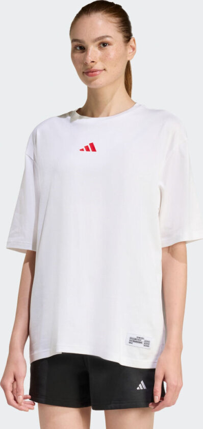MINI EMBROIDERY OVERSIZED GRAPHIC T-SKJORTE