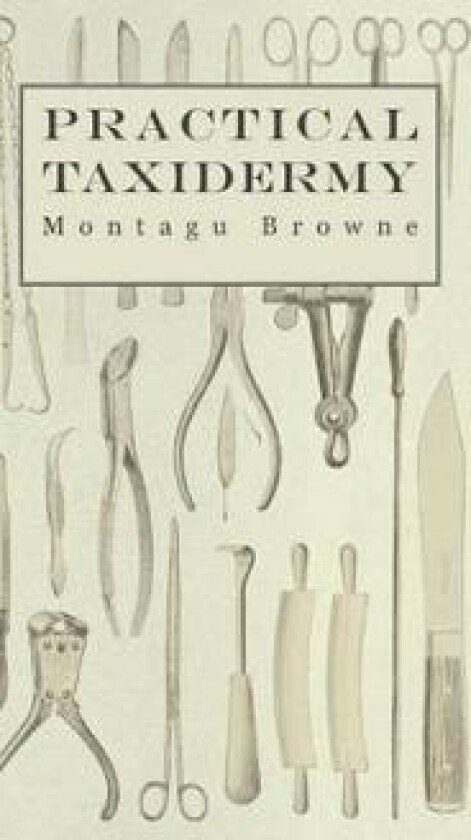 Practical Taxidermy - A Manual of Instruction To The Amateur In Collecting, Preserving, And Setting Up Natural History Specimens of All Kinds