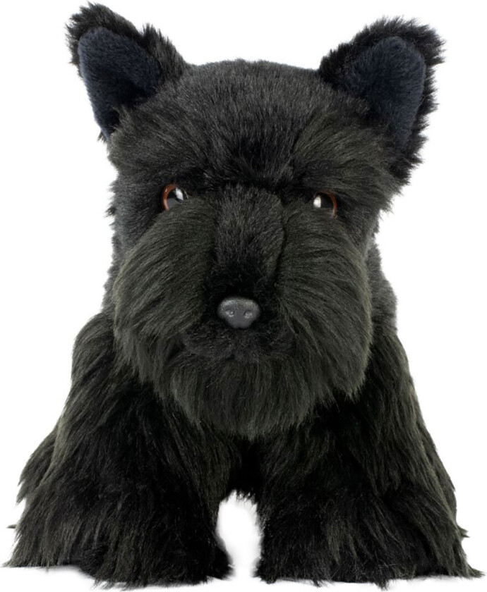 Kosedyr - 17x13 cm - skotsk terrier - Svart - - OneSize - Kosedyr