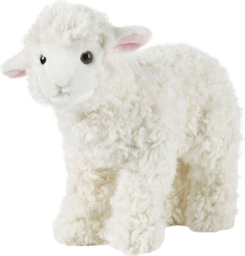 Kosedyr - 24x22 cm - Lam - Large - Off White - - OneSize - Kosedyr