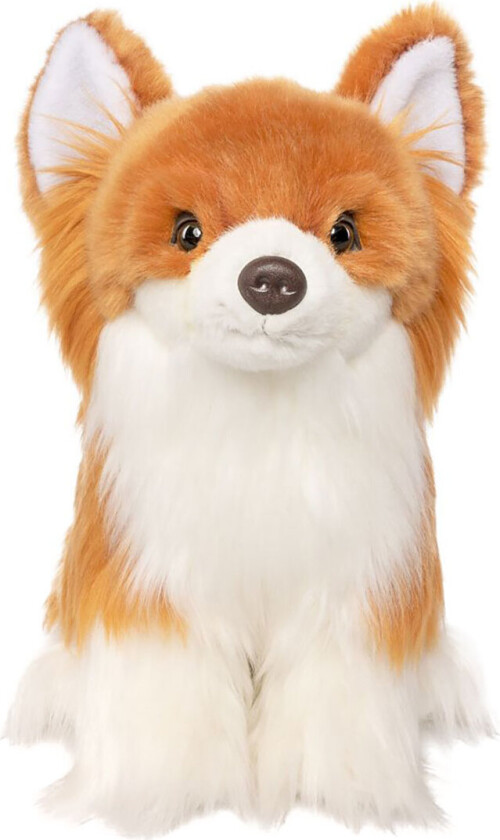 Kosedyr - 27x23 cm - Langhåret Chihuahua - Oransje - - OneSize - Kosedyr