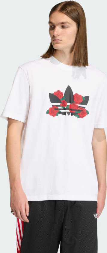 Trefoil Series Roses