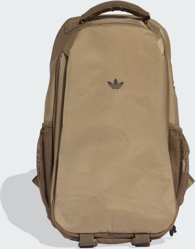 EXPANDABLE RYGGSEKK