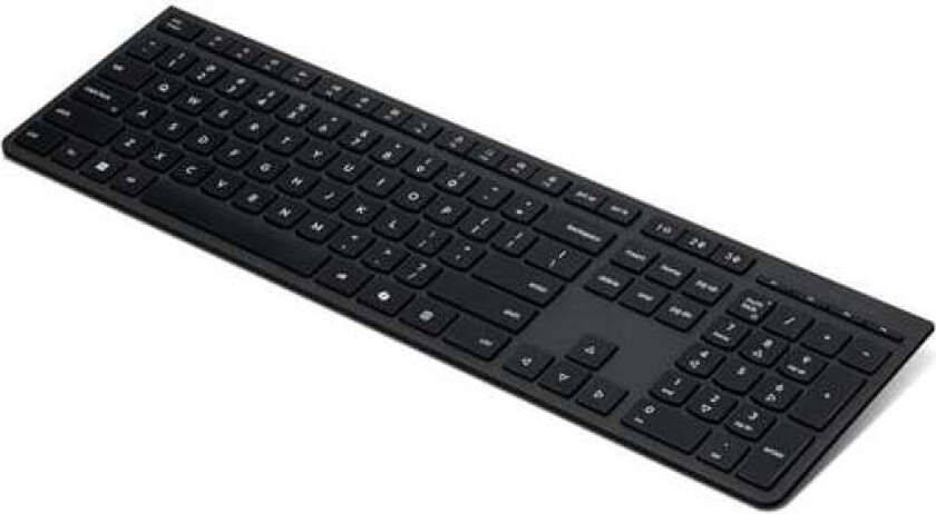 Professional - keyboard full size - QWERTY - Swedish/Finnish - grey Input Device - Tastatur - Svensk/finsk - Grå
