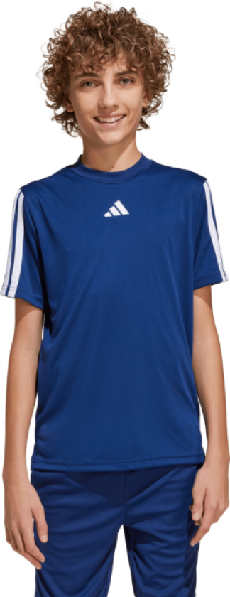 Training Essential 3S SS Tee