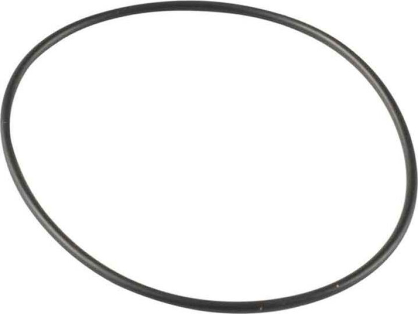 O ring til Truma Therme O-ring 65 x 2 mm