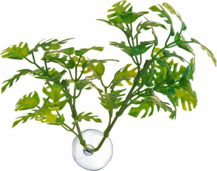 Zoo Med Betta Plant Window Leaf