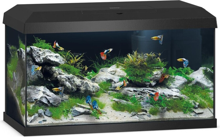 Juwel Akvarium Primo 60 svart 2.0