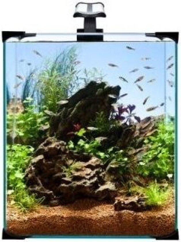 Nano LED akvarium - 10 liter