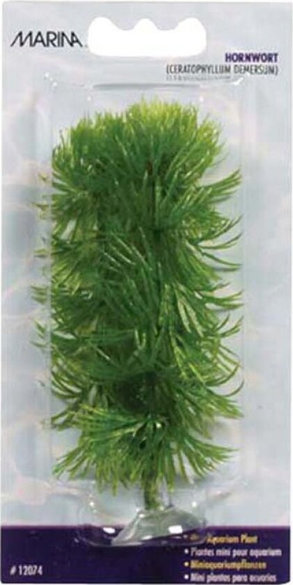 Plastplante hornwort mini 10cm med sugekopp