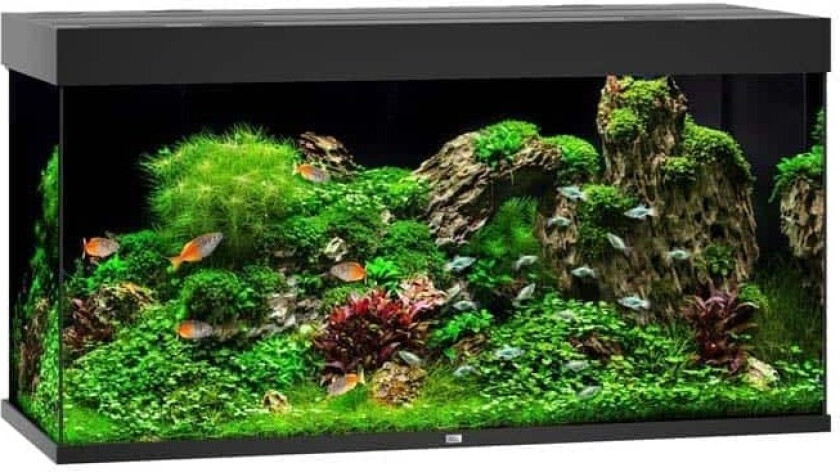 Bilde av Juwel Akvarium LED Rio 350 - Svart X