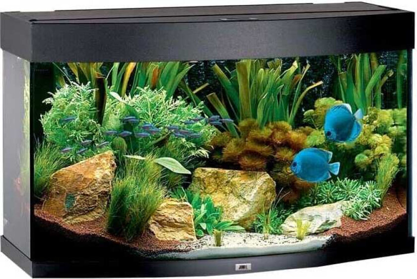 Bilde av Juwel Buet Akvarium LED Vision 180 92x41x55cm - Svart X
