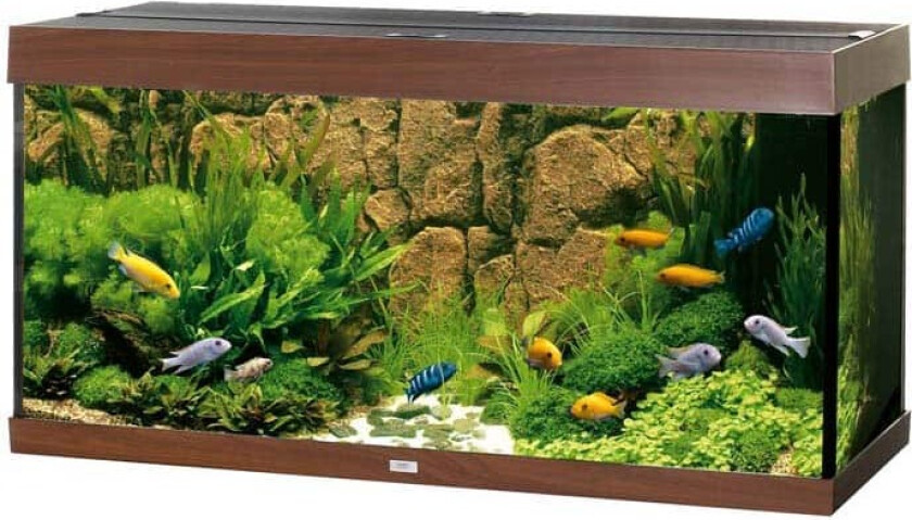 Bilde av Juwel Akvarium LED Rio 350 - M?rkebrun