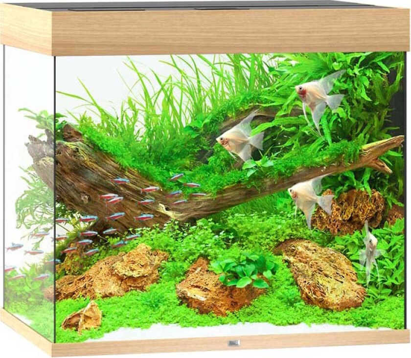 Bilde av Juwel Akvarium LED Lido 200 - Eik