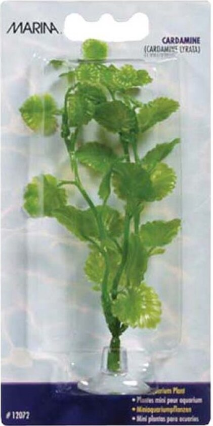 Plastplante Cardamine Mini 10cm med sugekopp
