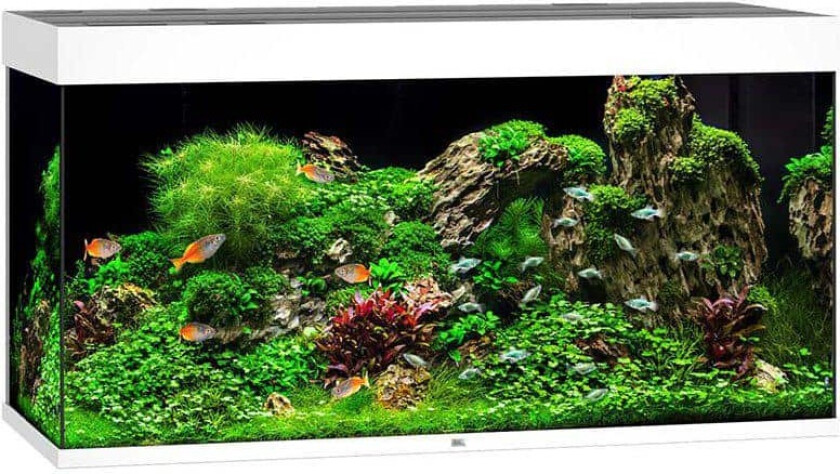 Bilde av Juwel Akvarium LED Rio 350 - Hvit
