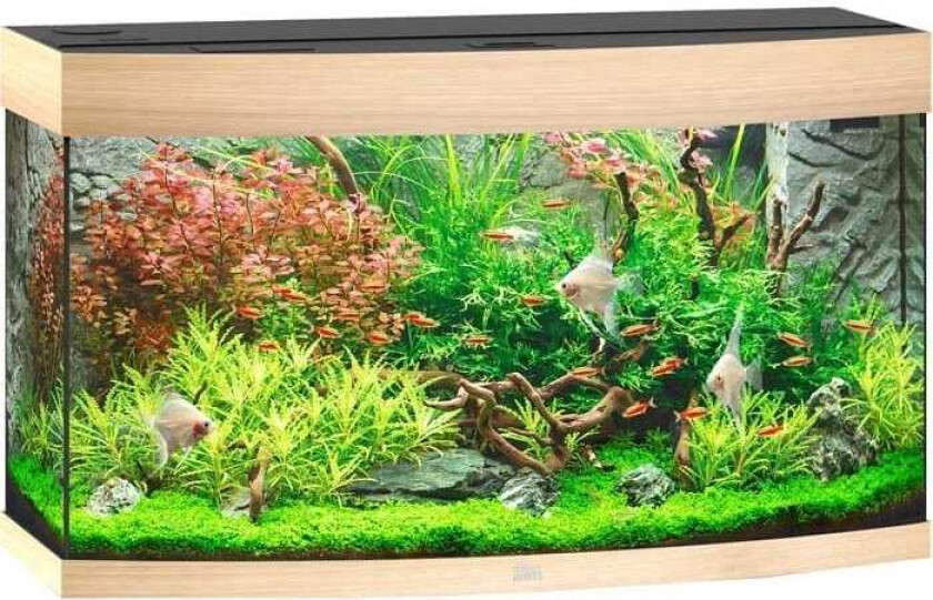 Bilde av Juwel Buet Akvarium LED Vision 180 92x41x55cm - Eik