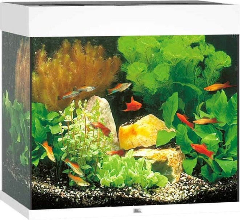 Bilde av Juwel Akvarium LED Lido 120 - Hvit