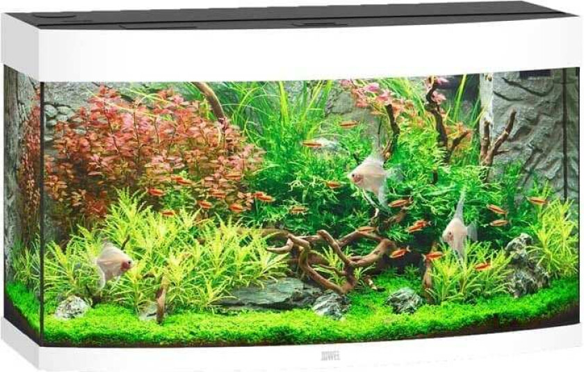 Bilde av Juwel Buet Akvarium LED Vision 180 92x41x55cm - Hvit