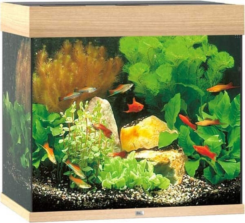 Bilde av Juwel Akvarium LED Lido 120 - Eik