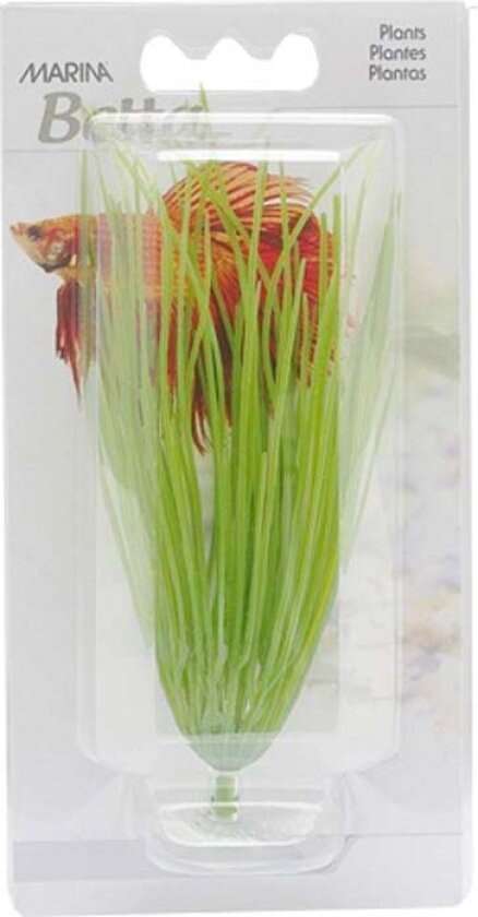 Plastplante hairgrass mini med sugekopp