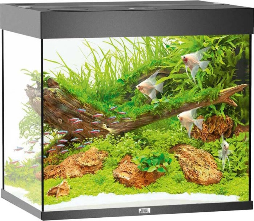 Bilde av Juwel Akvarium LED Lido 200 - Svart X