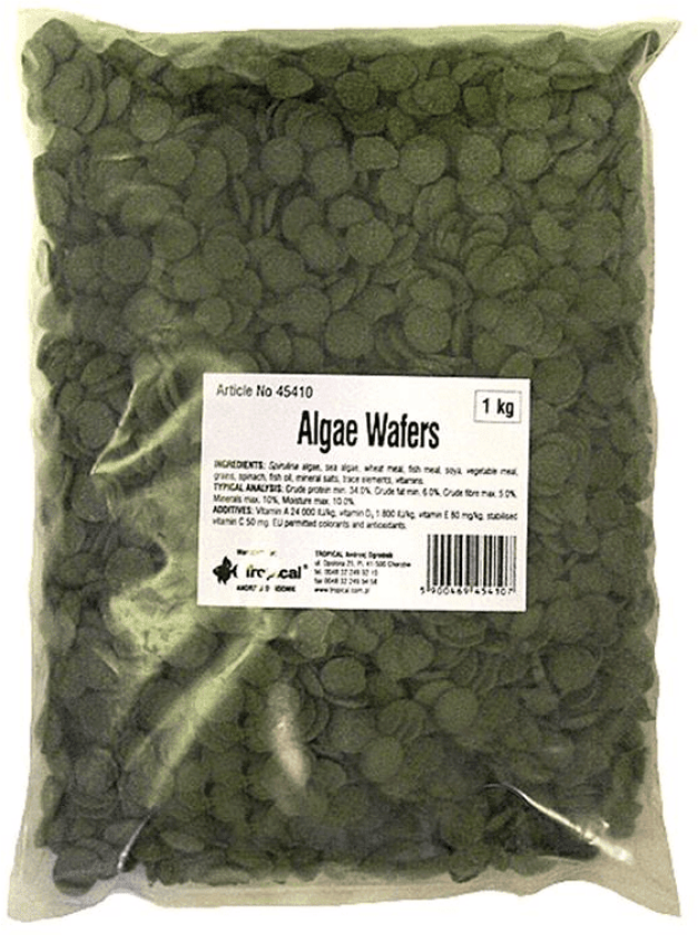 Tropical Algae Wafers - 1kg x