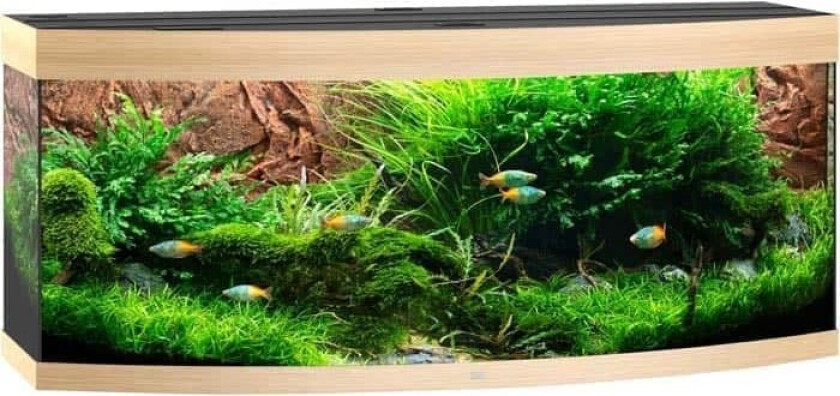 Bilde av Juwel Vision 450 Buet Akvarium LED 151x61x64cm - Eik