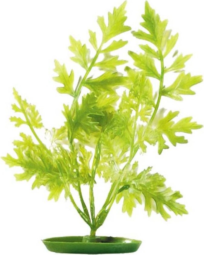 Plastplante Water Sprite 20cm