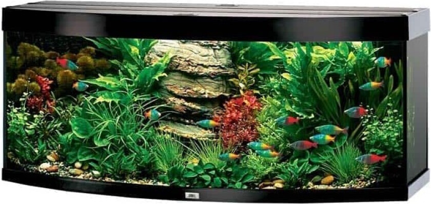 Bilde av Juwel Vision 450 Buet Akvarium LED 151x61x64cm - Svart X