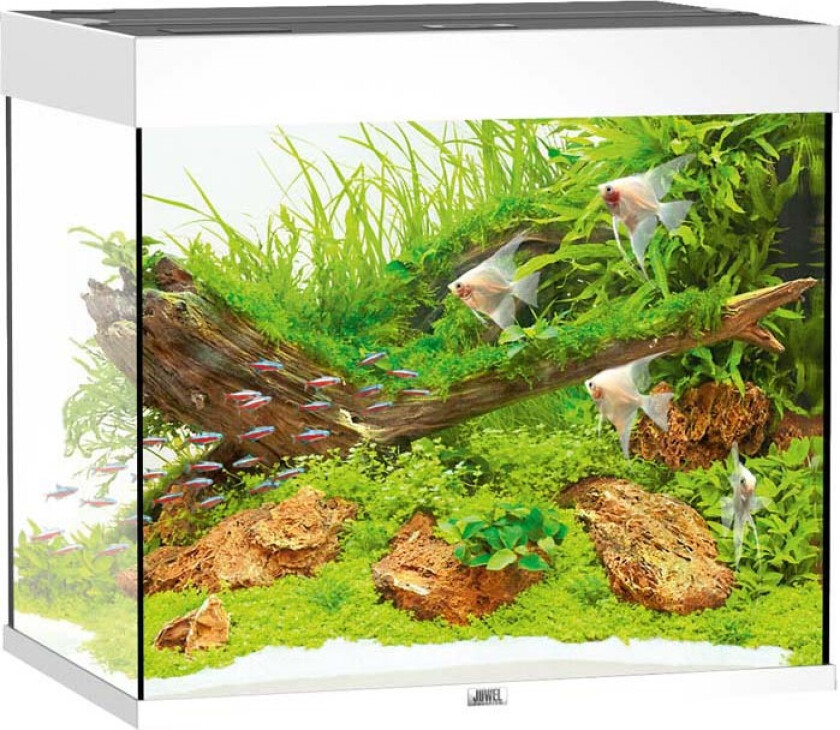 Bilde av Juwel Akvarium LED Lido 200 - Hvit