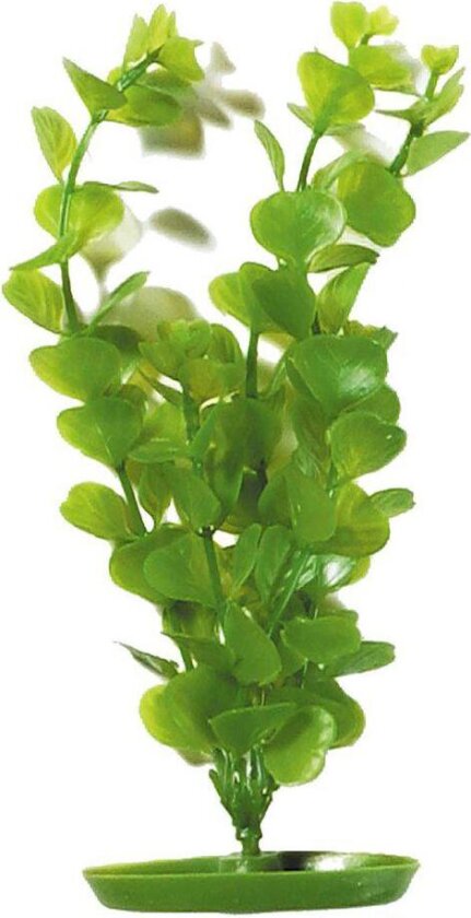 Bilde av Plastplante moneywort