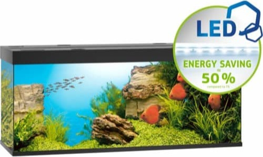 Bilde av Juwel akvarium Led Rio 450 - Sort