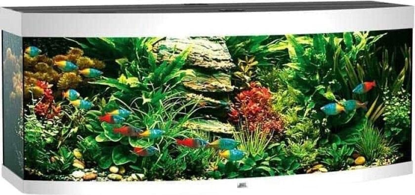 Bilde av Juwel Vision 450 Buet Akvarium LED 151x61x64cm - Hvit