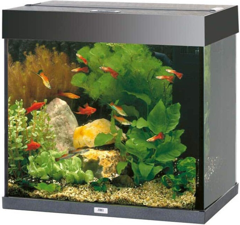 Bilde av Juwel Akvarium LED Lido 120 - Svart X