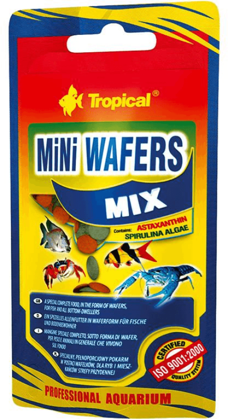 Tropical Mini Wafers Mix - 18 gram