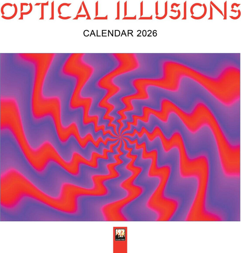 Optical Illusions Wall Calendar 2026 (Art Calendar)