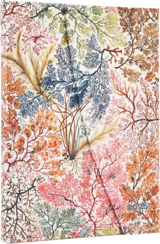 Kalender Paperblanks 2026 12m midi Anemone