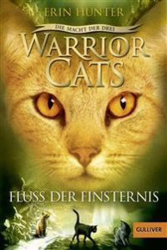 Warrior Cats Staffel 3/02. Die Macht der Drei. Fluss der Finsternis