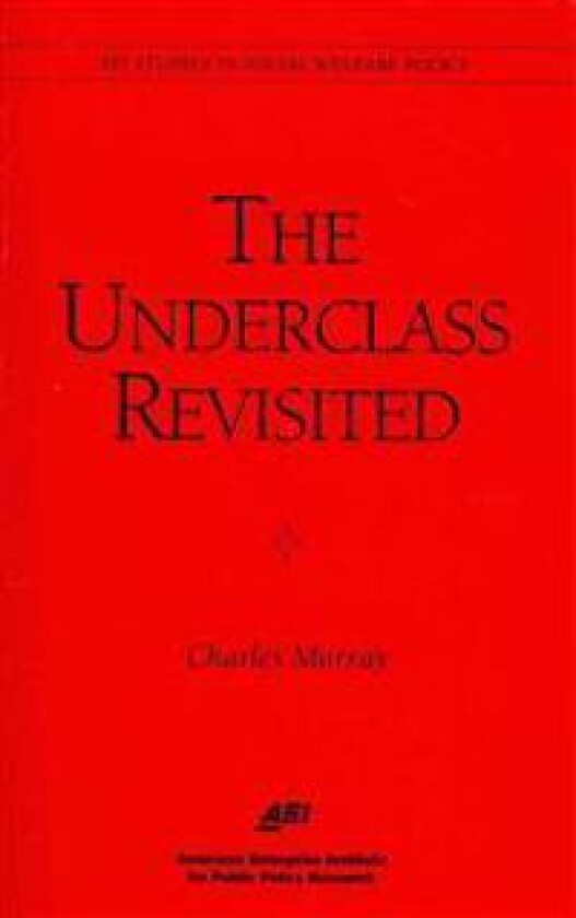 The Underclass Revisited