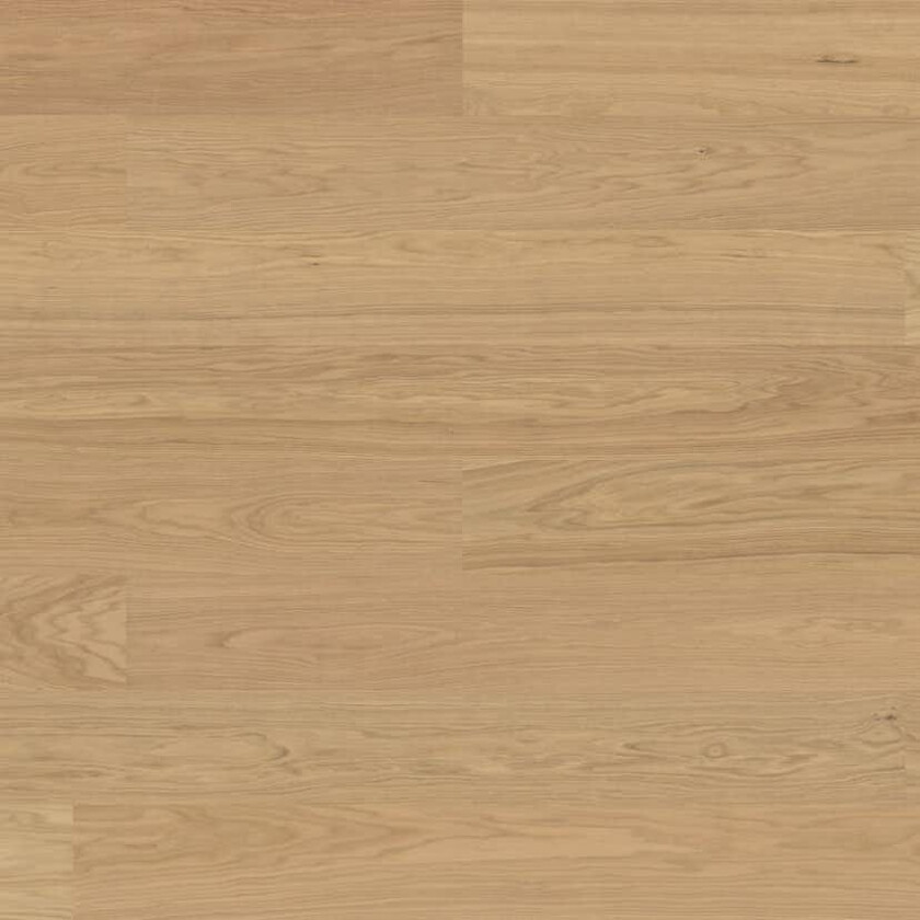 Tregulv Bjelin Herdet Eik Hittarp Hardvoksoljet 3.0 XXL 1-Stav