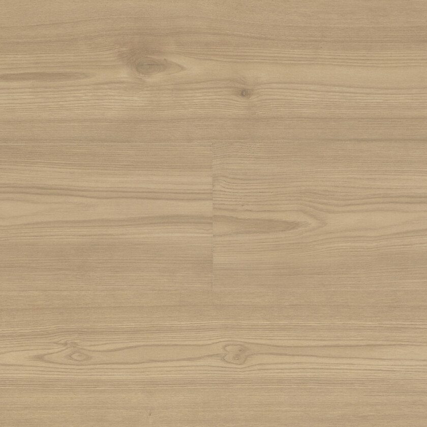 Laminatprøve grand fifth avenue eik t: 11mm b: 210mm l: 297mm