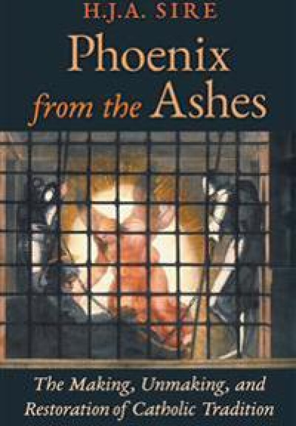 Phoenix from the Ashes