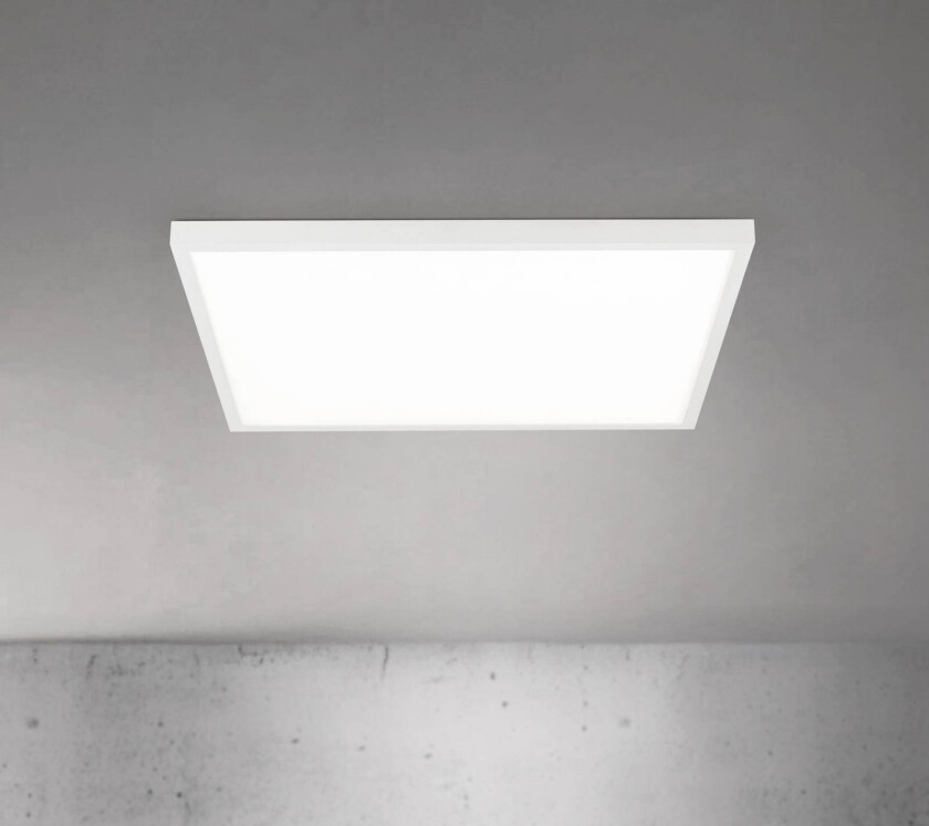 LED-taklampe Disc, hvit, lengde 60 cm, CCT, metall