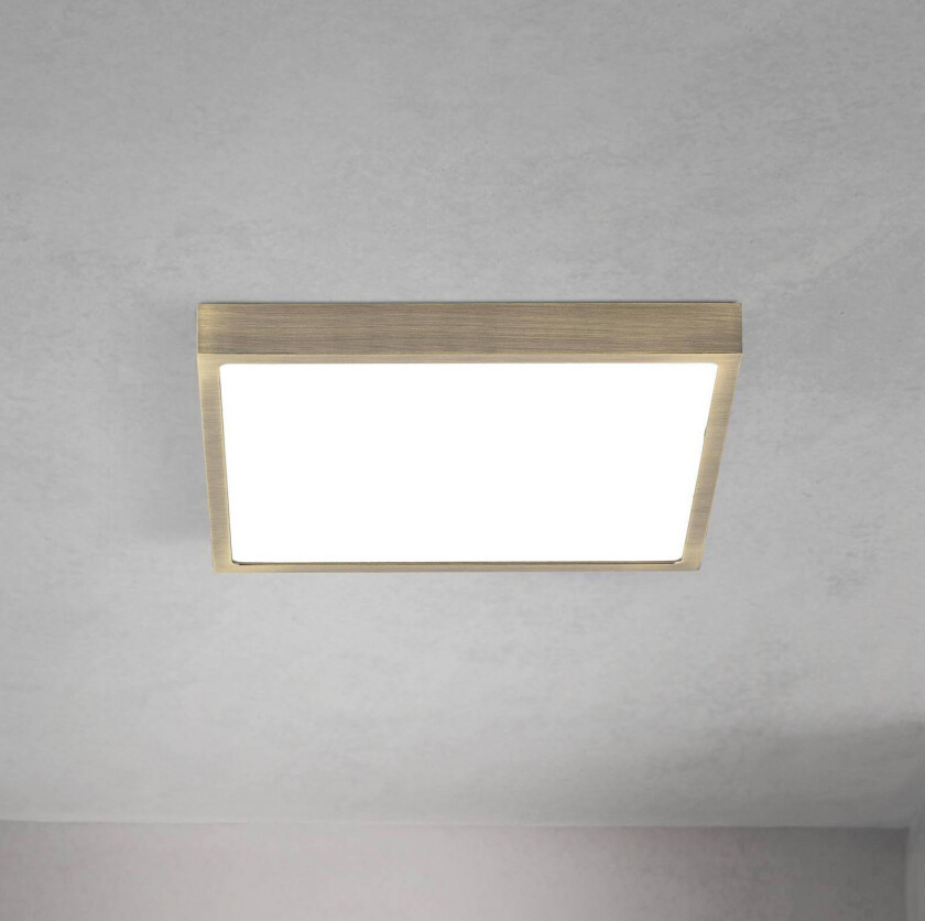 LED-taklampe Disc, antikk messingfarget, lengde 24 cm, CCT