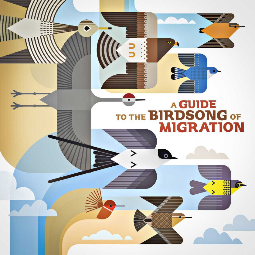 Diverse Artister A Guide To The Birdsong Of Migration CD