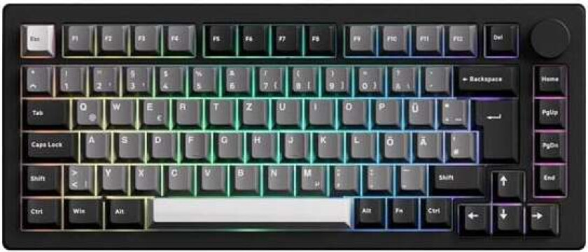 MonsGeek M1 V5 Series VIA - Tastatur - German/UK/Nordic - Sølv